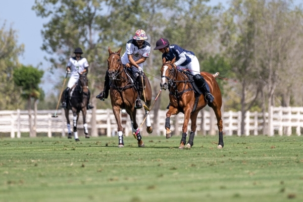 AM Polo and Zedan Polo to Compete at the Subsidiary Final of the Gold Cup...